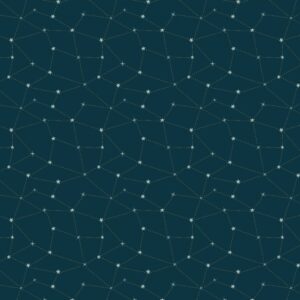 Cotton&Steel Fabrics - Savanna - Starry Night - Under The Stars