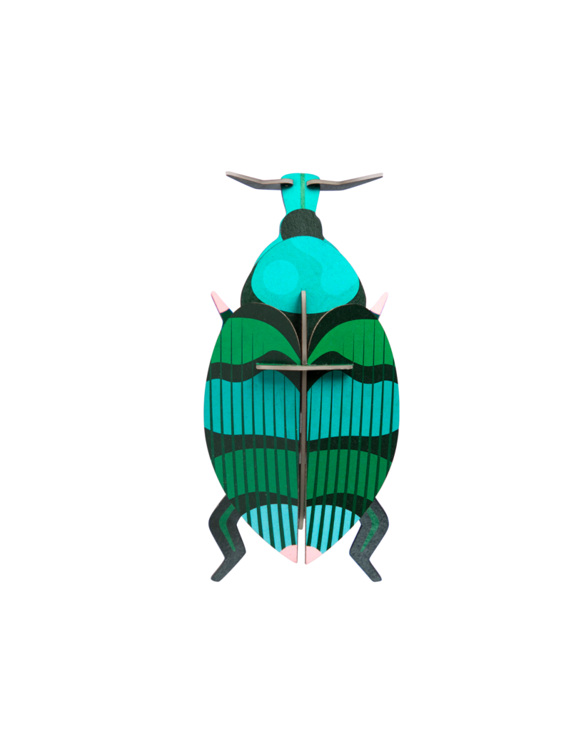 Studio ROOF - Weevil beetle